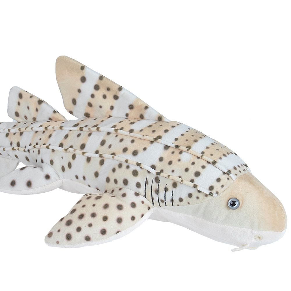 Zebrahai